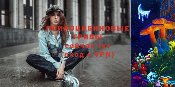 спиды Алексин