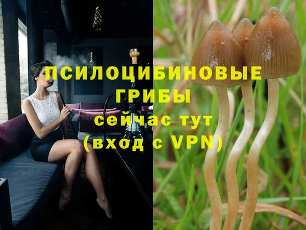 бутират Алексеевка