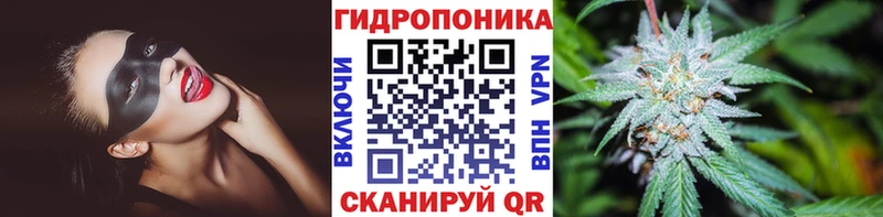Каннабис Ganja Сысерть
